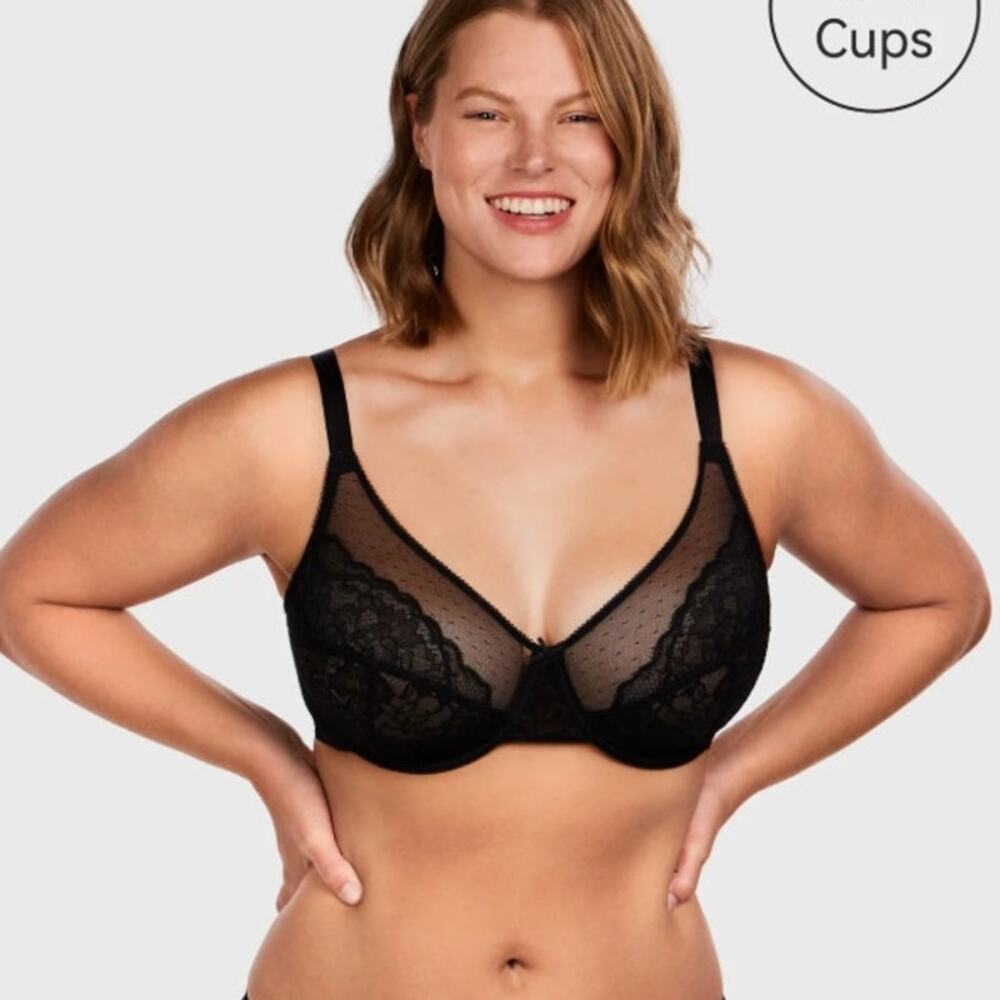 HSIA Enchante Lace Underwire Bra Black NWT 34DD Sheer Mesh